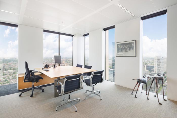 醫(yī)藥公司總經(jīng)理辦公室裝修設(shè)計(jì)案例效果圖