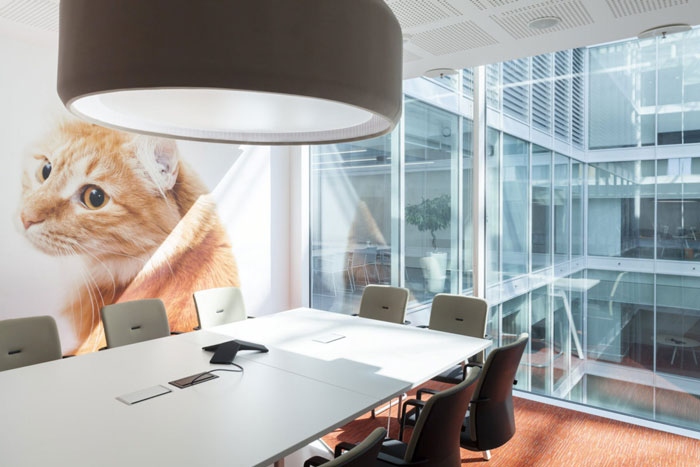 寵物食品公司辦公室會議室裝修設(shè)計效果圖