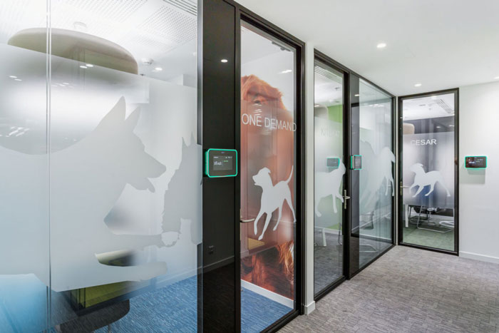 寵物食品公司辦公室隔斷裝修設(shè)計效果圖