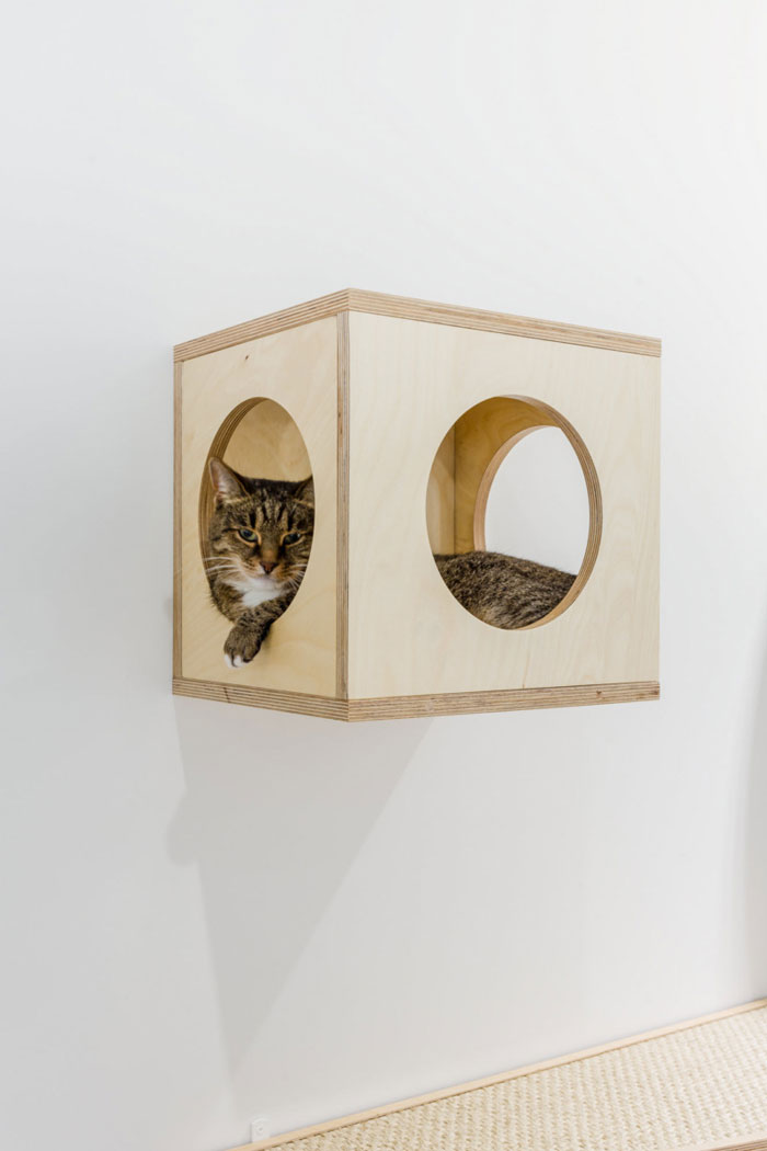 寵物食品公司辦公室寵物區(qū)裝修設(shè)計效果圖